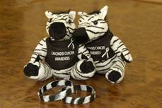 carcinoid stuffed zebra & bracelet