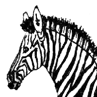 zebra awareness logo imprint