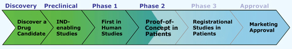 Clinical Trial Stages of Development