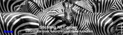 Stichting NET-groep