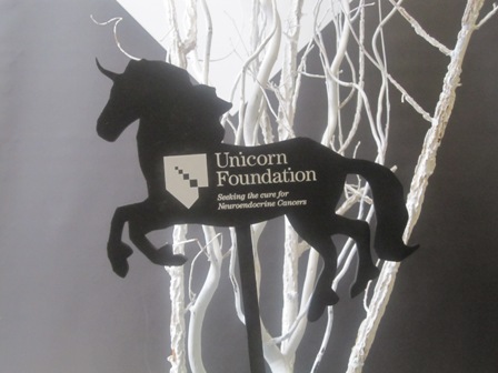 unicorn foundation 2011