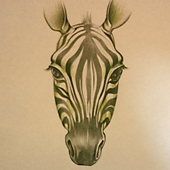 Zebra, small, prior to Zebra Cartoon