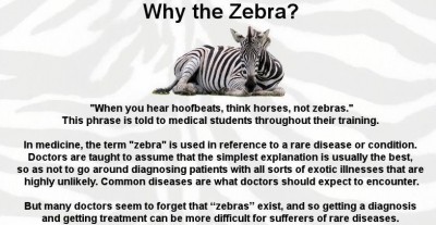 why the zebra