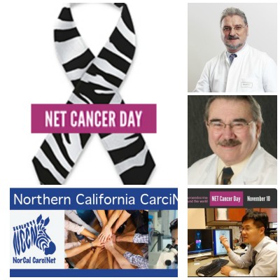 NET Cancer Day Webinar 2013 NorCal CarciNET