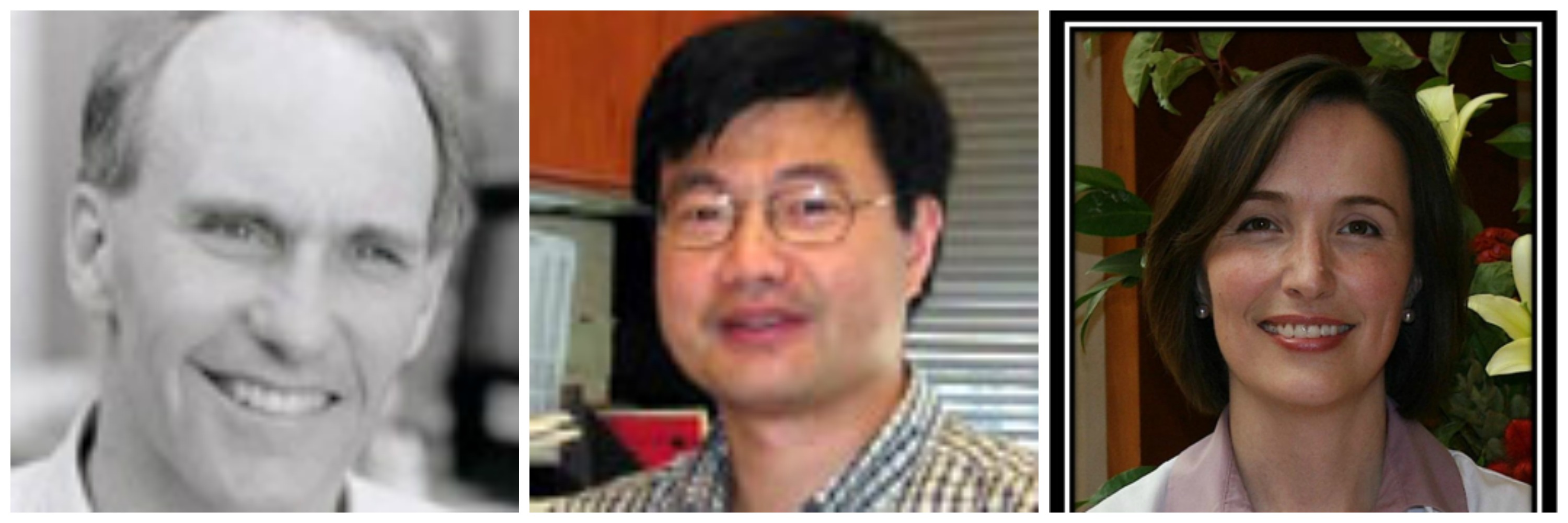 immunotherapy researchers june hu kunz