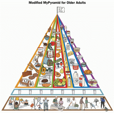 FoodPyramid12008