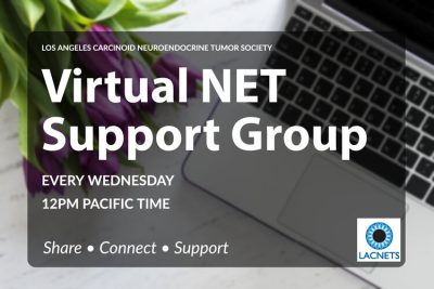 LACNETS Virtual Support Group 2020