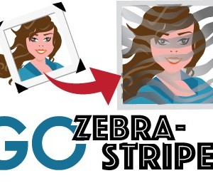 Go Zebra Striped Graphic