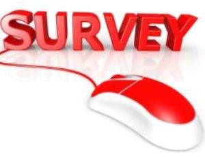 Survey with computer mouse Twitter smaller