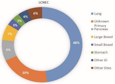 LCNEC, distribution of based on site of origin