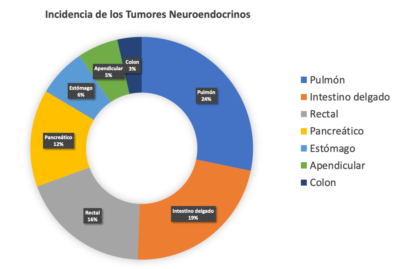 Incidencia de los Tumores Neuroendocrinos 002