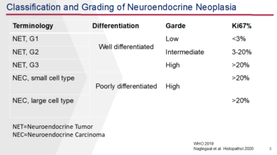 Classification and Grading of Neuroendocrine Neoplasia