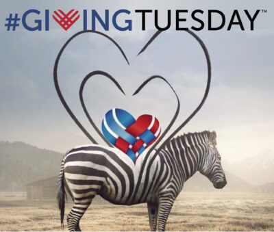 Giving Tuesday Zebra