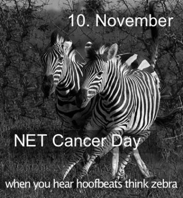 net cancer day